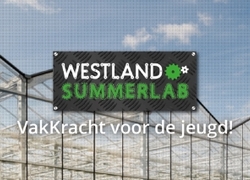 Normal_summerlab-1920px-_1_-640-213
